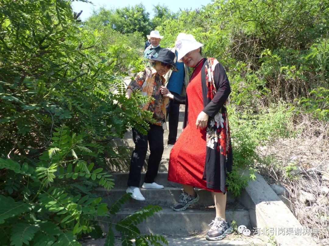 微信图片_6.jpg
